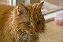 oude spook _07-03-09_1